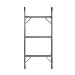 SW 3 Rung 1.71M Aluminium Frame