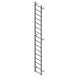 Aluminium Access Cat Ladder